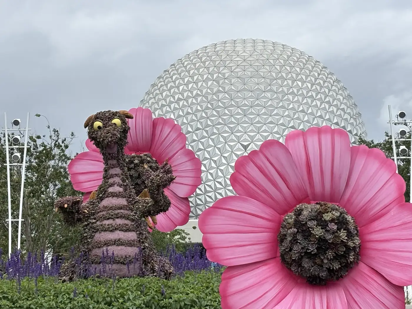 Why I Bought DVC: An Honest Disney Vacation Club Story