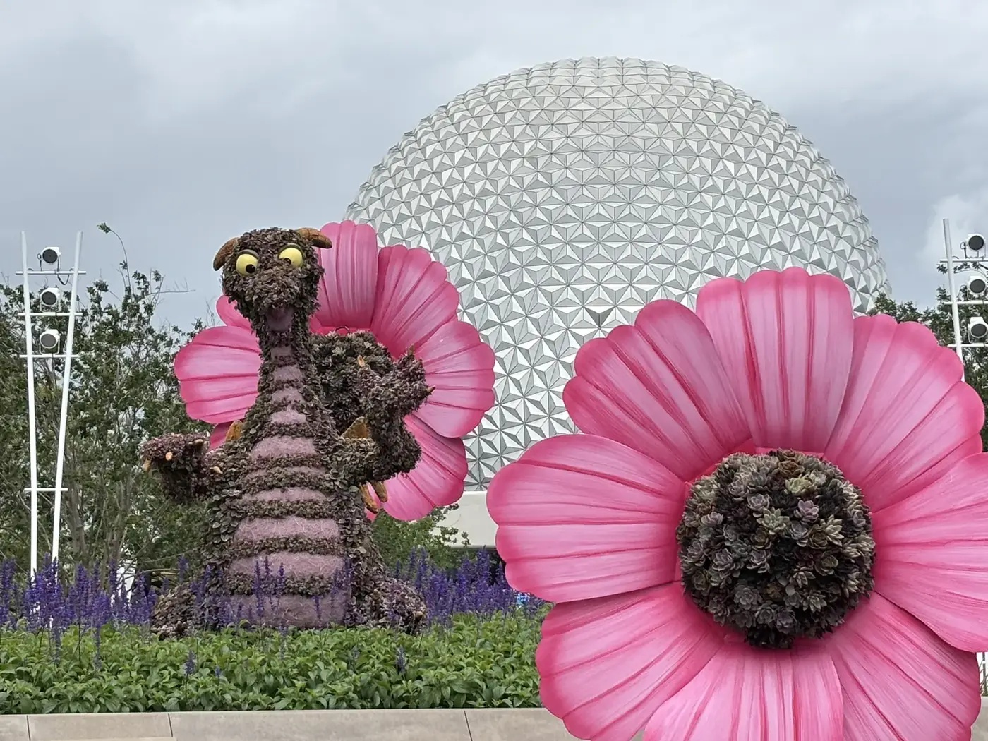 Why I Bought DVC: An Honest Disney Vacation Club Story